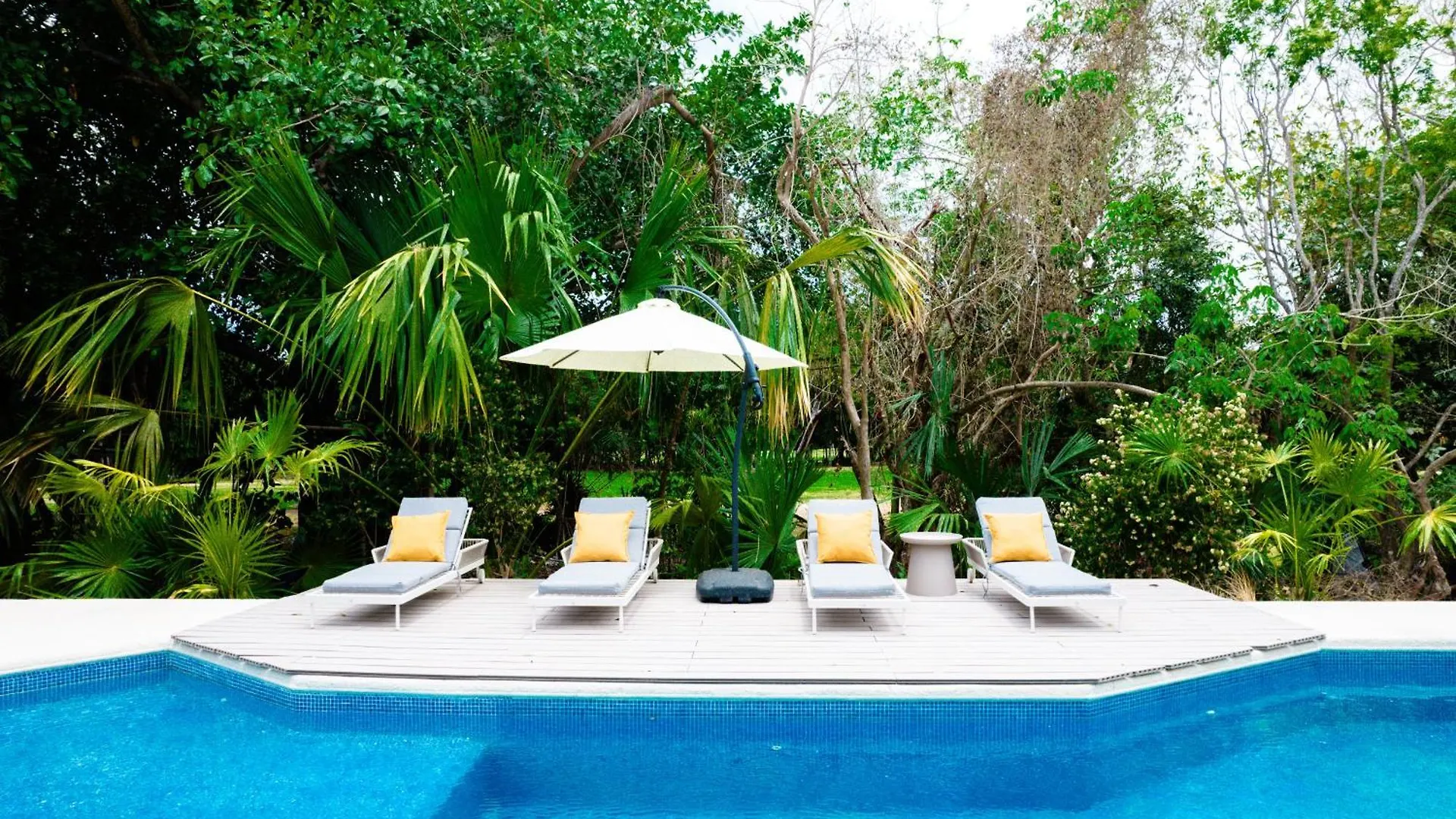 Casa Manglar Riviera Maya 普托阿范特拉斯 0*,